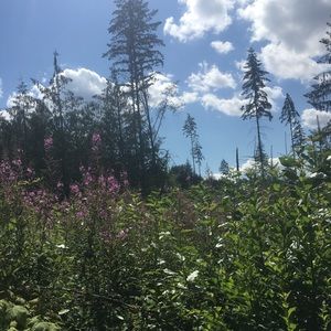 Meet your Posher, Holly